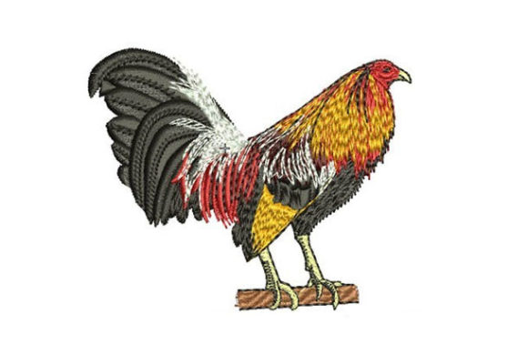 Majestic Rooster: A Designer’s Review for Real Projects